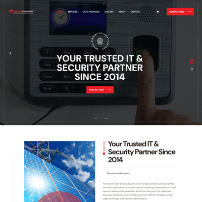 Delta Surveillance portfolio screenshot